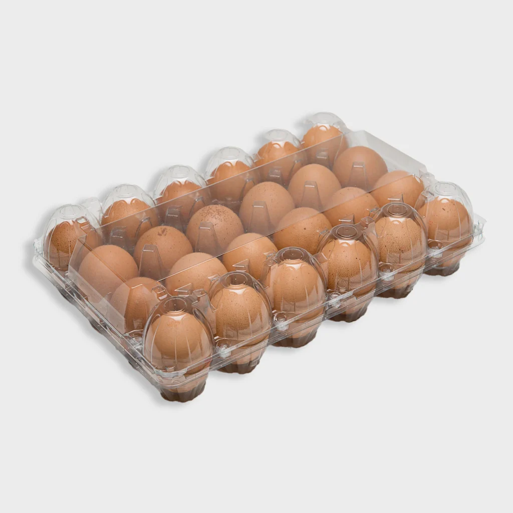 Eggs