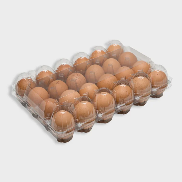 Eggs